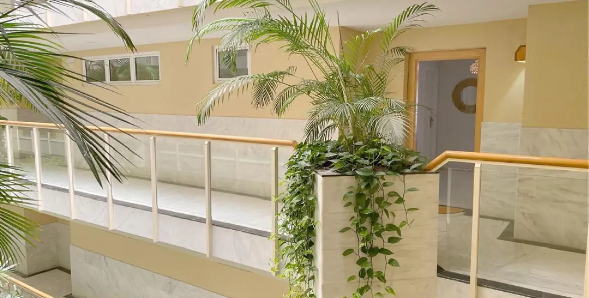 Short-term rent of middle floor apartment in Estepona 21