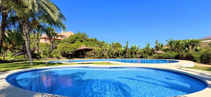 Sale of middle floor apartment in Casares Playa 1