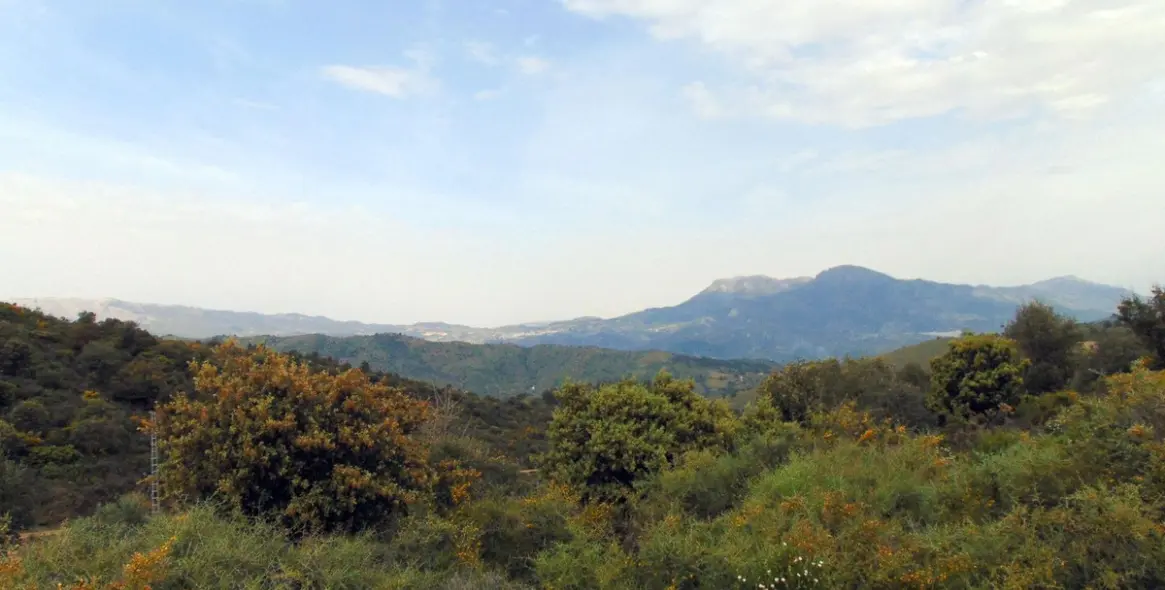 Продажа финки в Monda 30