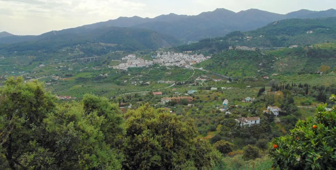 Продажа финки в Monda 41