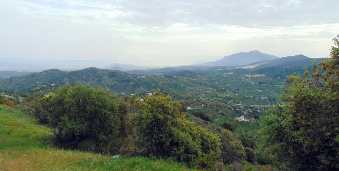 Продажа финки в Monda 42