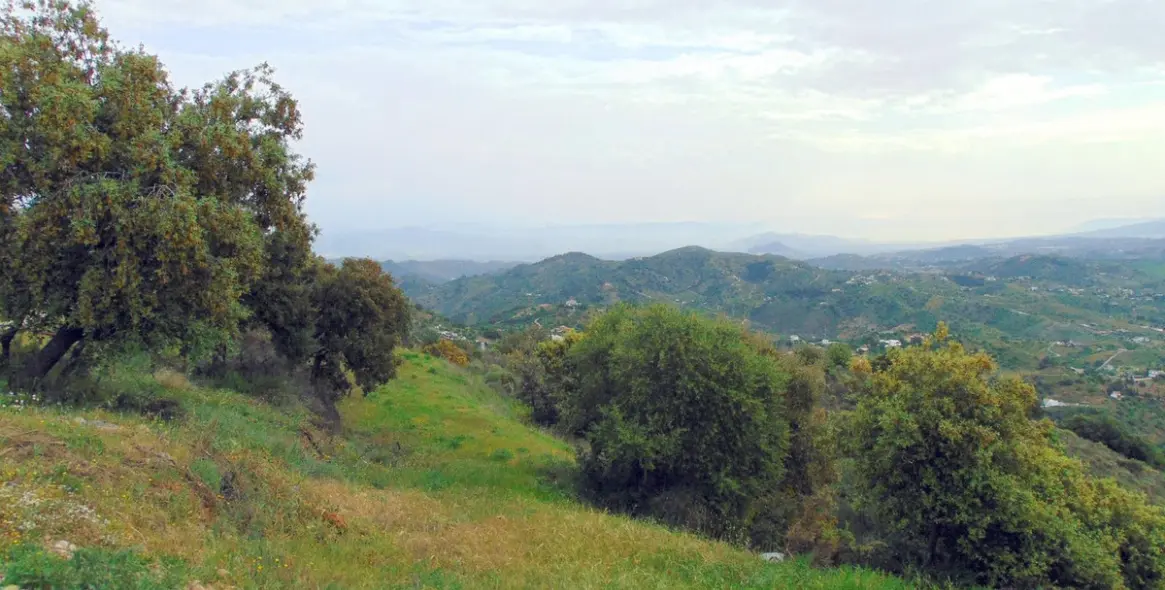 Продажа финки в Monda 43