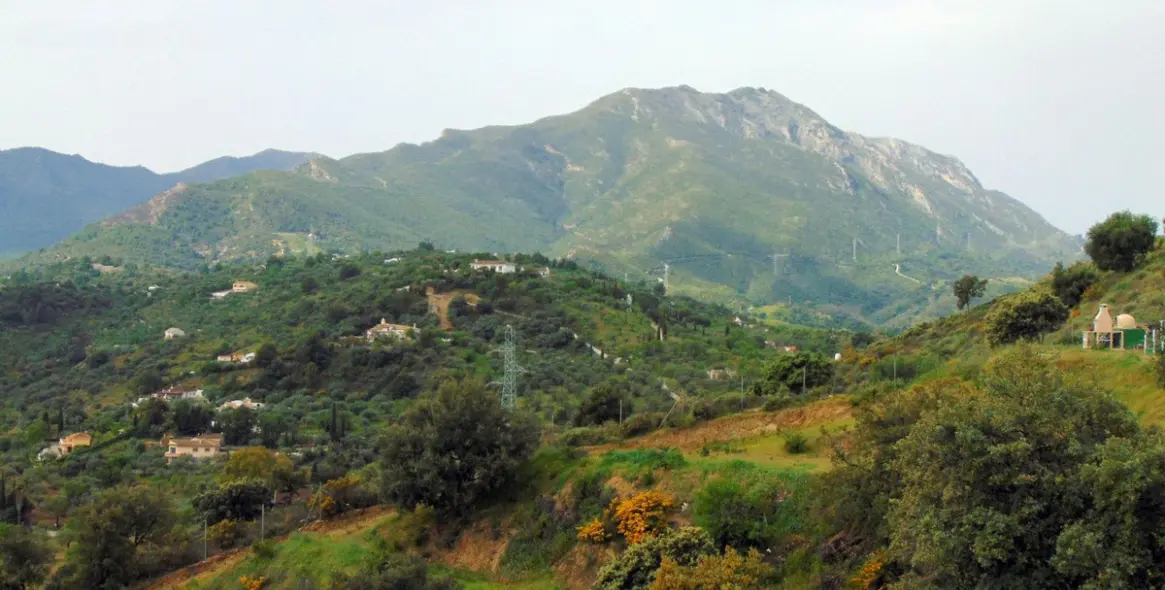 Продажа финки в Monda 44