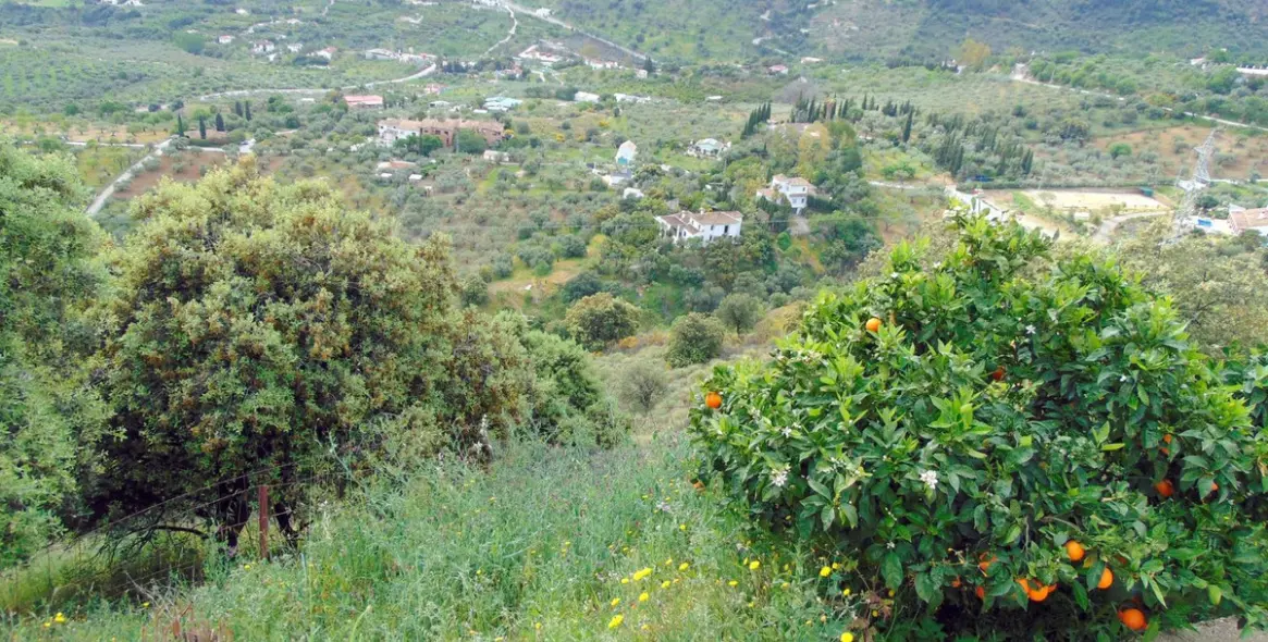 Продажа финки в Monda 45