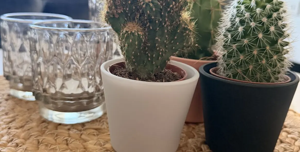 Sale of ground floor apartment in Mijas 13