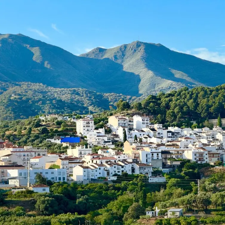 Sale of detached villa in Monda