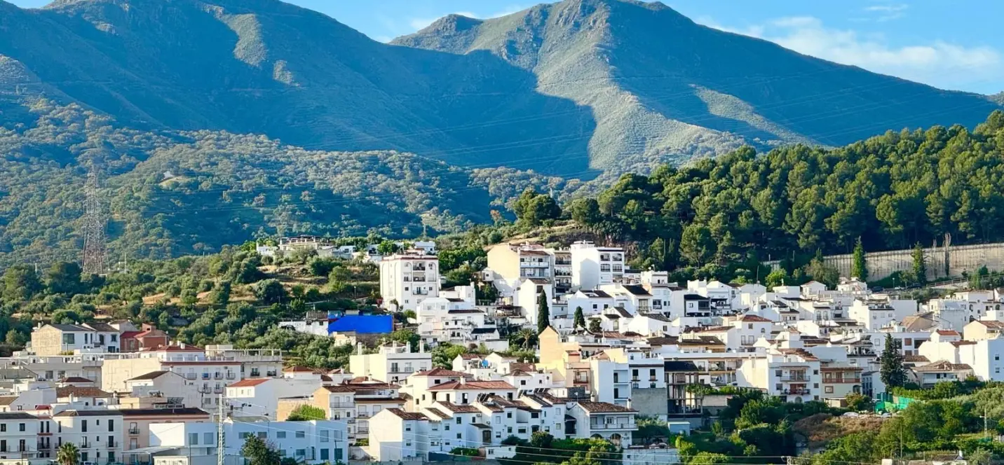 Sale of detached villa in Monda 1