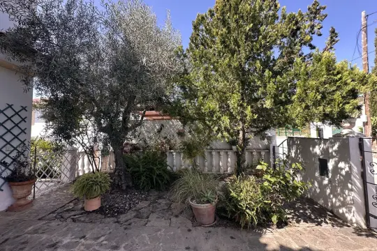 Image 63 thumb