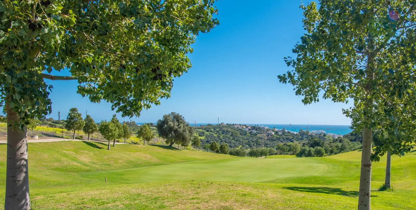 Продажа  отдельно стоящей виллы в Estepona 10