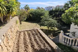 Image 36 thumb