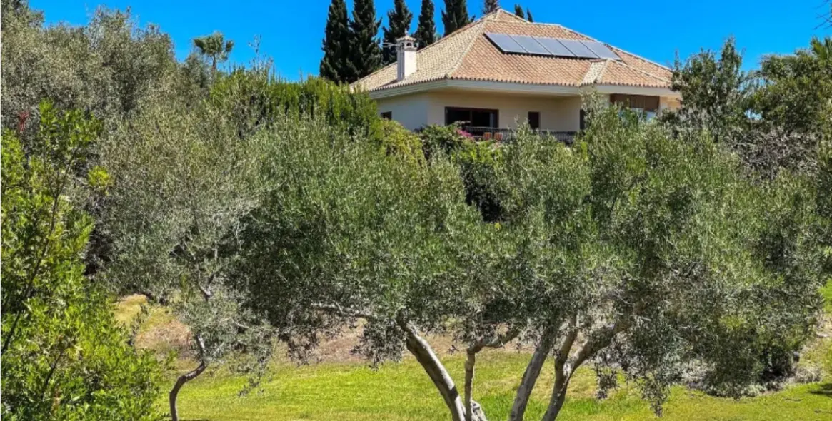 Долгосрочная аренда  отдельно стоящей виллы в Marbella 4