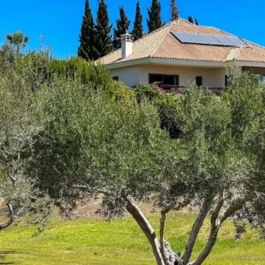 Долгосрочная аренда  отдельно стоящей виллы в Marbella