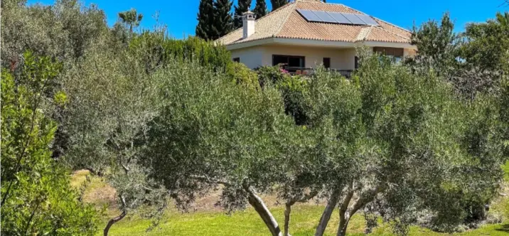 Long-term rent of detached villa in Marbella 3