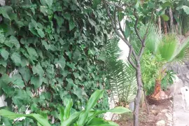 Image 9 thumb