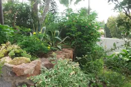 Image 14 thumb