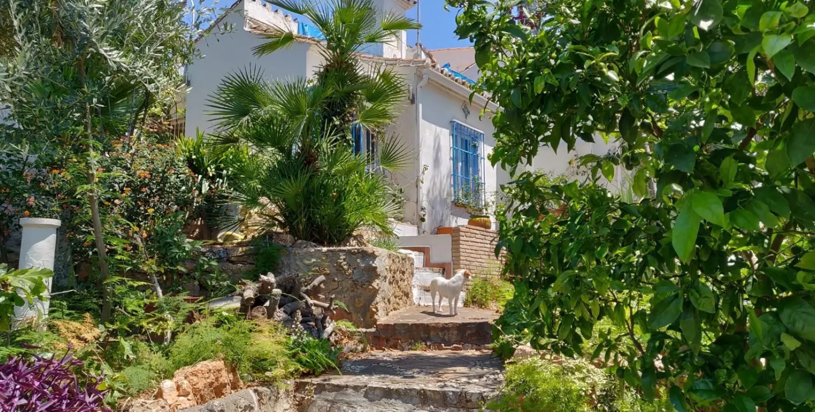 Продажа  отдельно стоящей виллы в Torremolinos 2