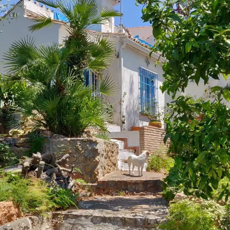 Sale of detached villa in Torremolinos