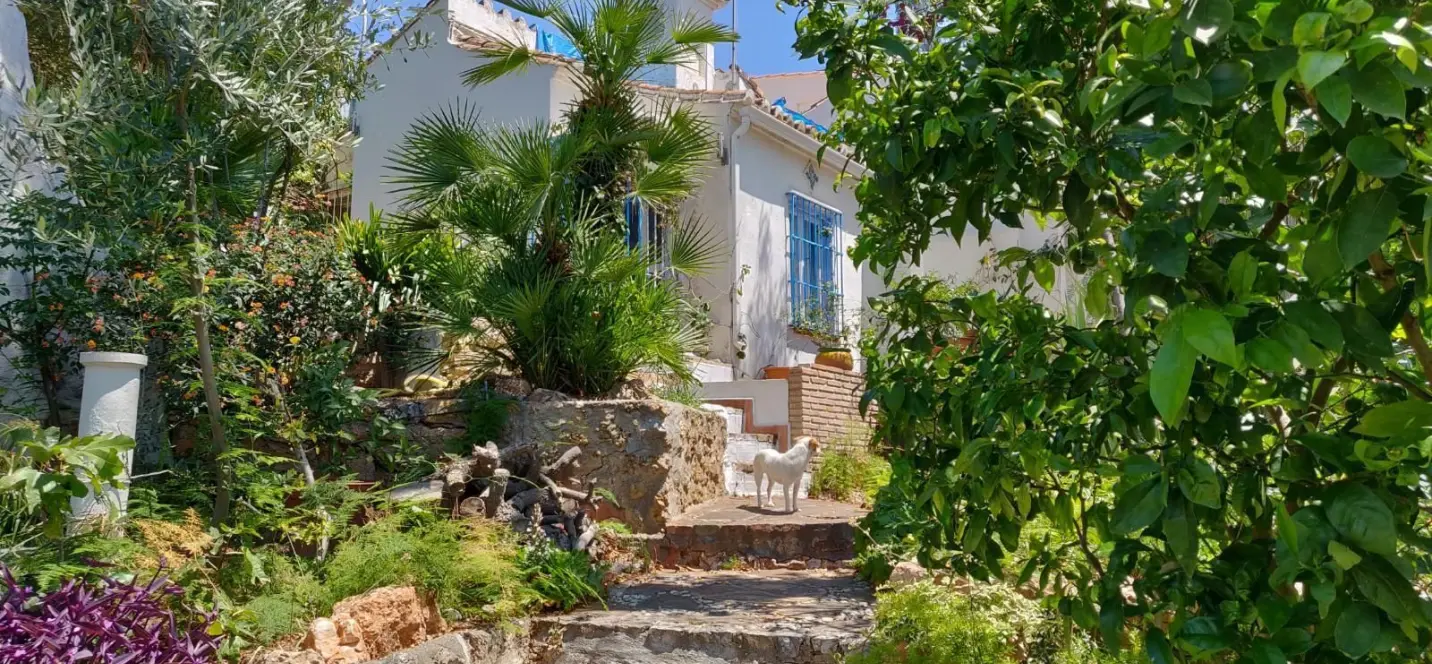 Sale of detached villa in Torremolinos 1