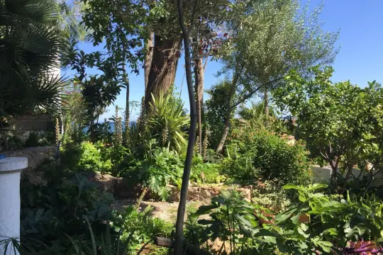 Image 4 thumb
