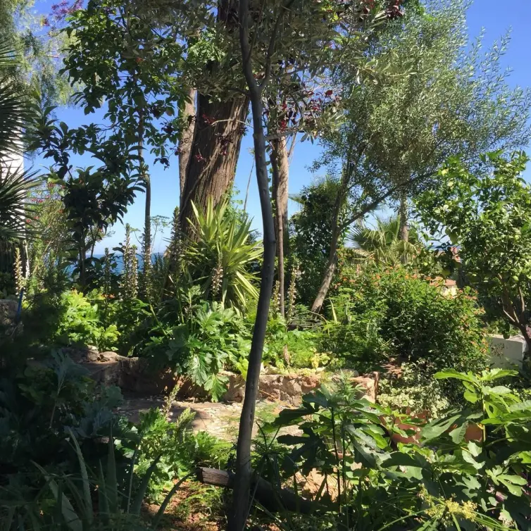 Sale of detached villa in Torremolinos