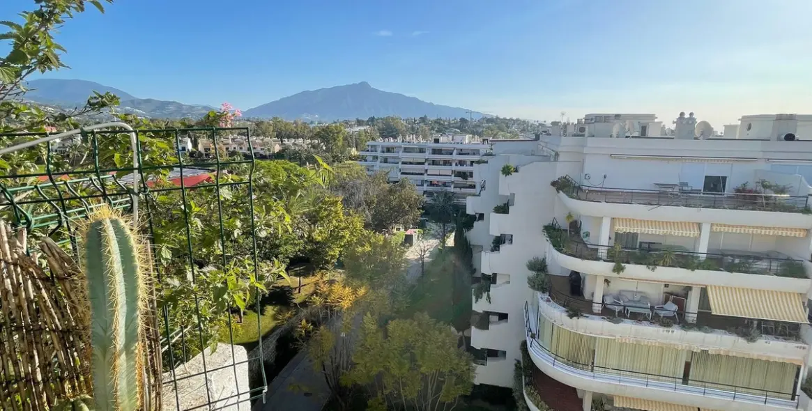 Sale of penthouse in Guadalmina Alta 1