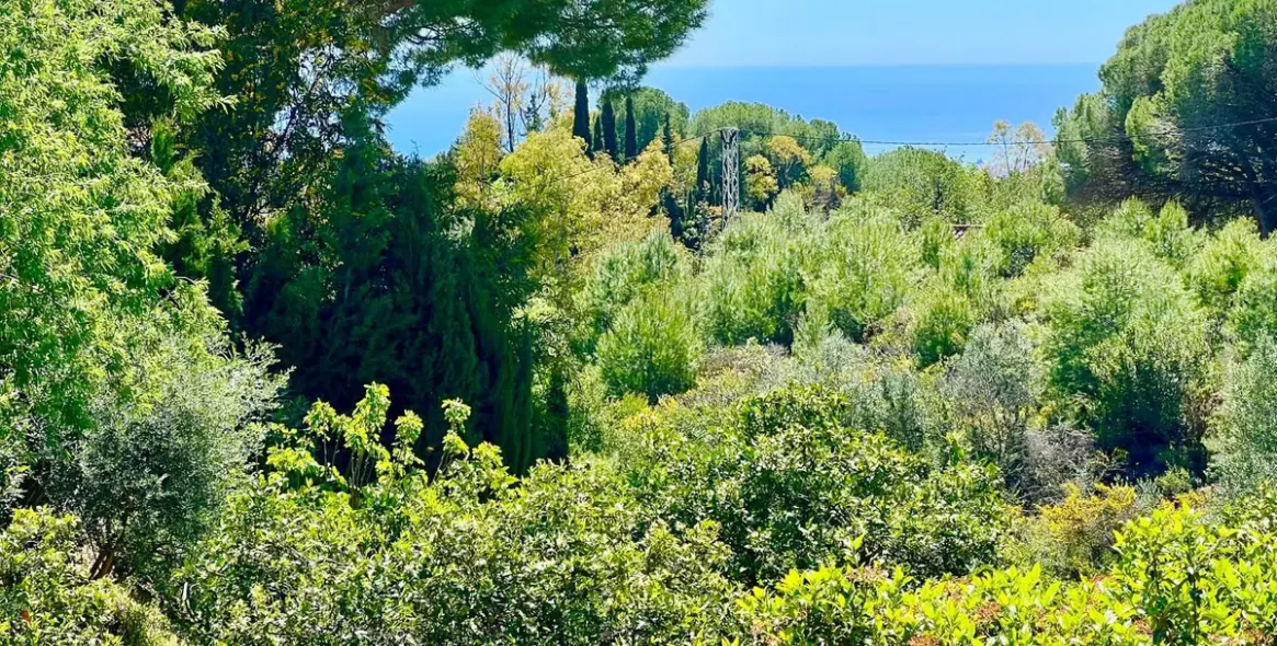 Продажа  отдельно стоящей виллы в Mijas 5