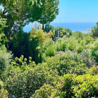 Продажа  отдельно стоящей виллы в Mijas