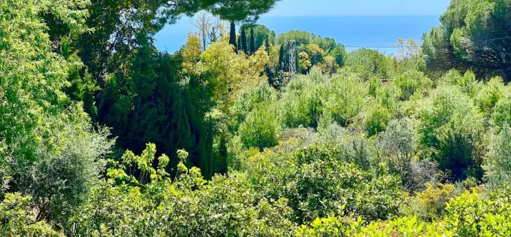 Продажа  отдельно стоящей виллы в Mijas 4