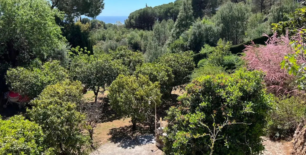 Продажа  отдельно стоящей виллы в Mijas 39