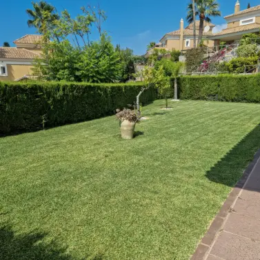 Sale of semi-detached house in Santa Clara