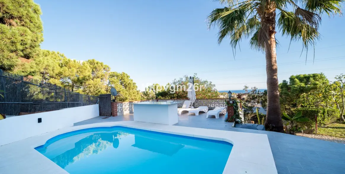 Sale of detached villa in Estepona 3
