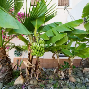 Venta de villa independiente en Estepona