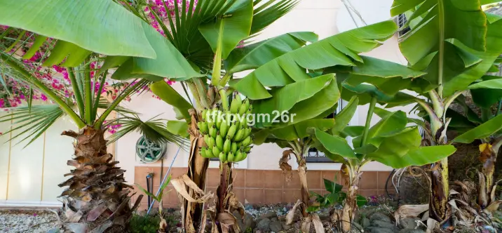 Venta de villa independiente en Estepona 4