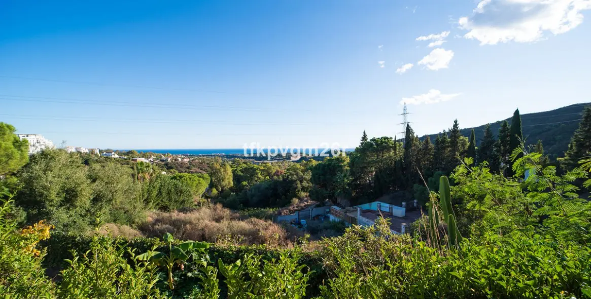 Sale of detached villa in Estepona 44