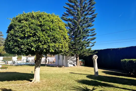Image 8 thumb