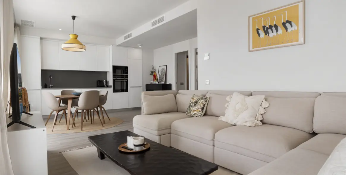 Sale of penthouse in Cancelada 4