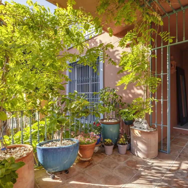 Sale of ground floor apartment in Monte Halcones
