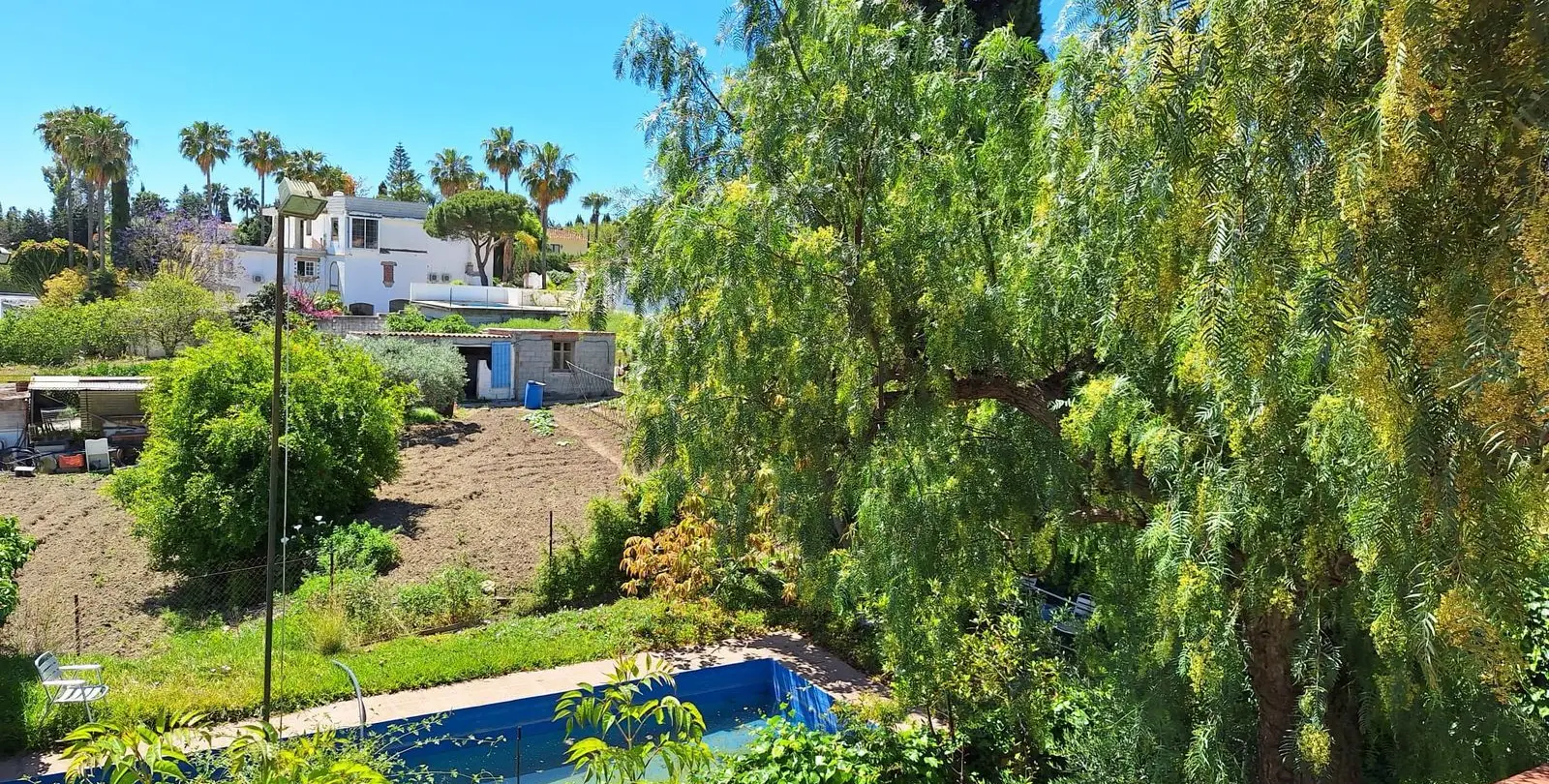 Venta de finca - cortijo en Estepona 1