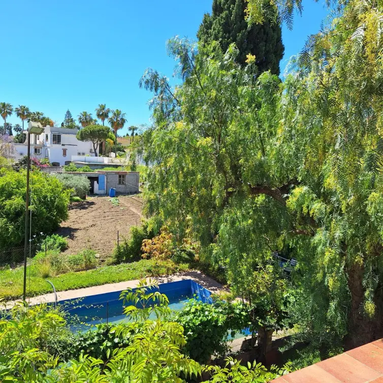 Sale of finca - cortijo in Estepona