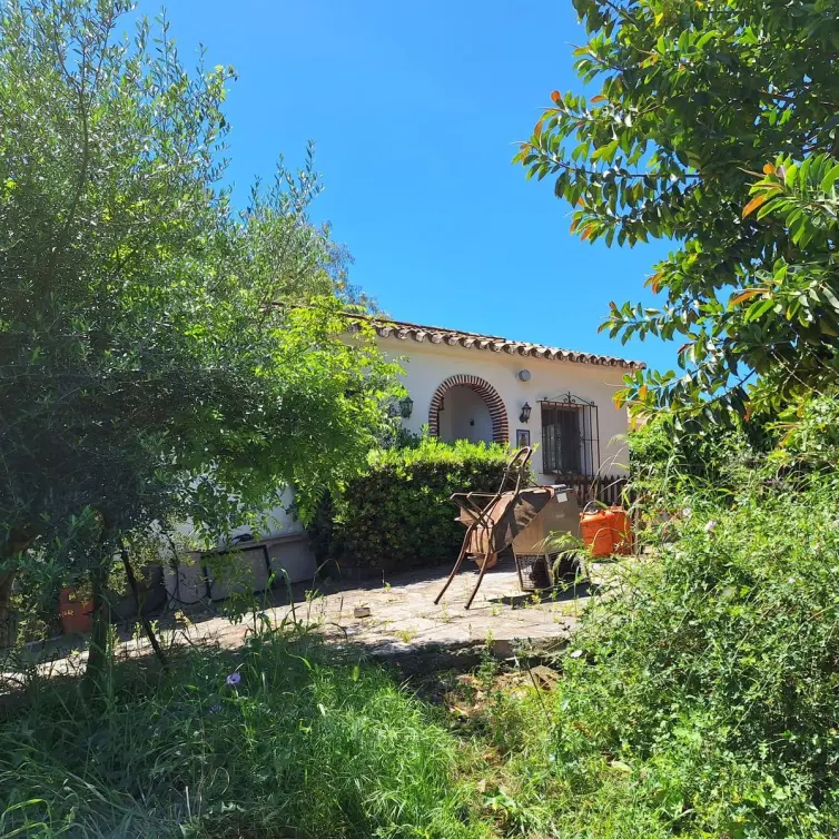 Sale of finca - cortijo in Estepona