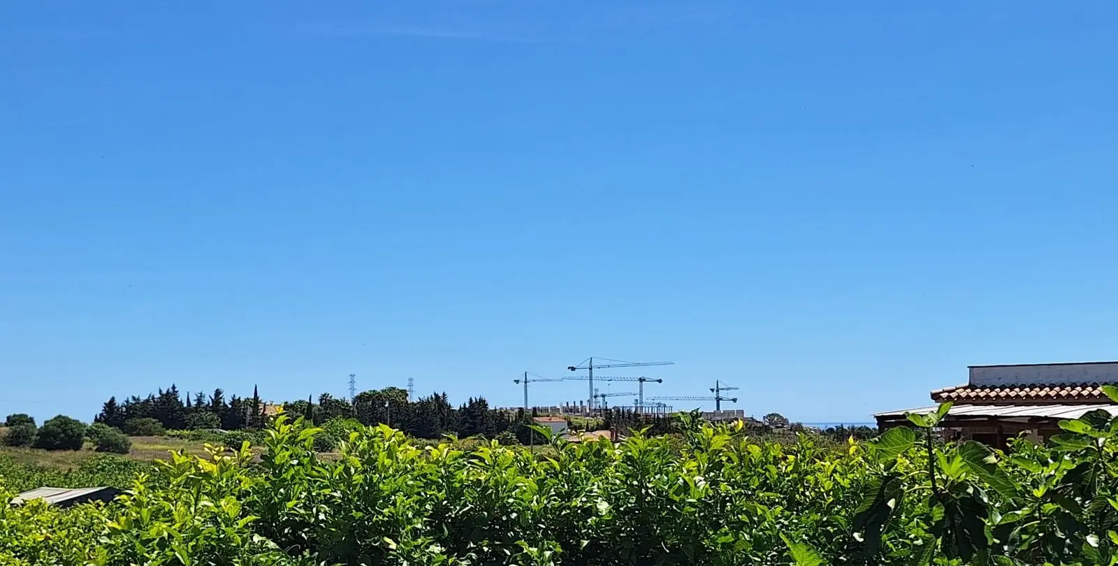 Venta de finca - cortijo en Estepona 5