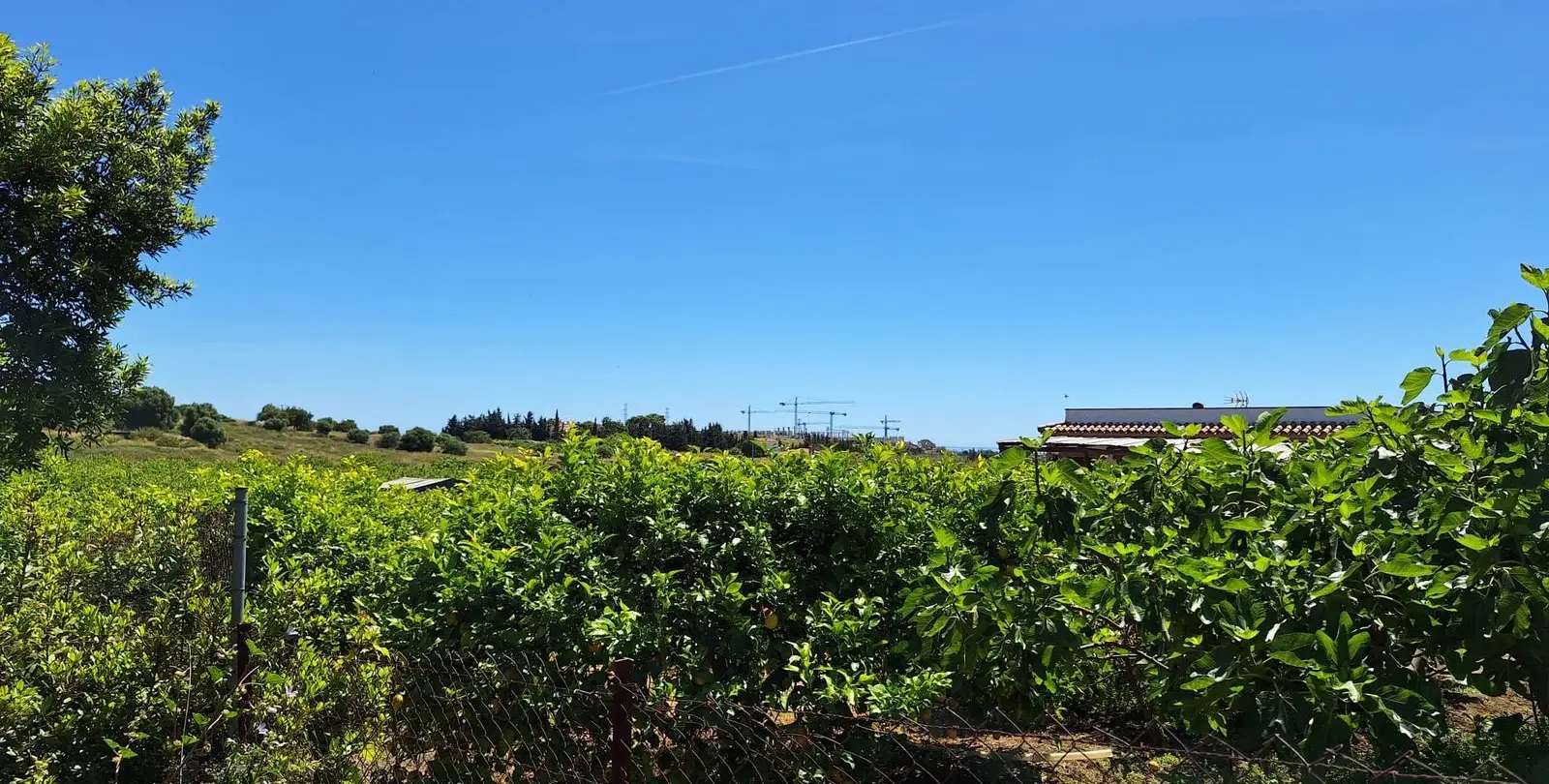 Venta de finca - cortijo en Estepona 6