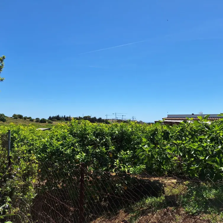Sale of finca - cortijo in Estepona