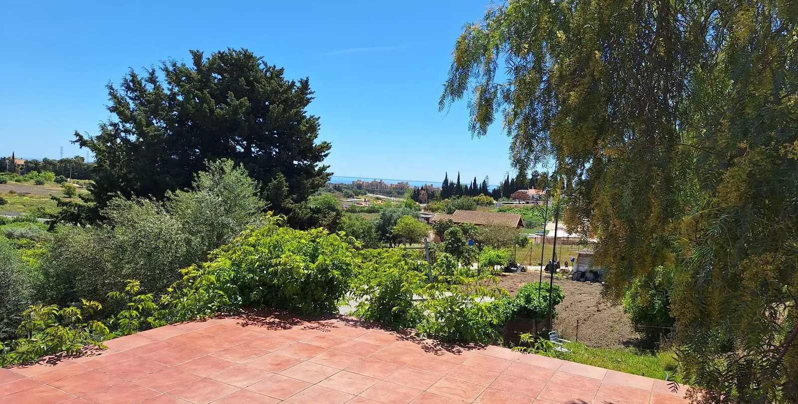 Venta de finca - cortijo en Estepona 7