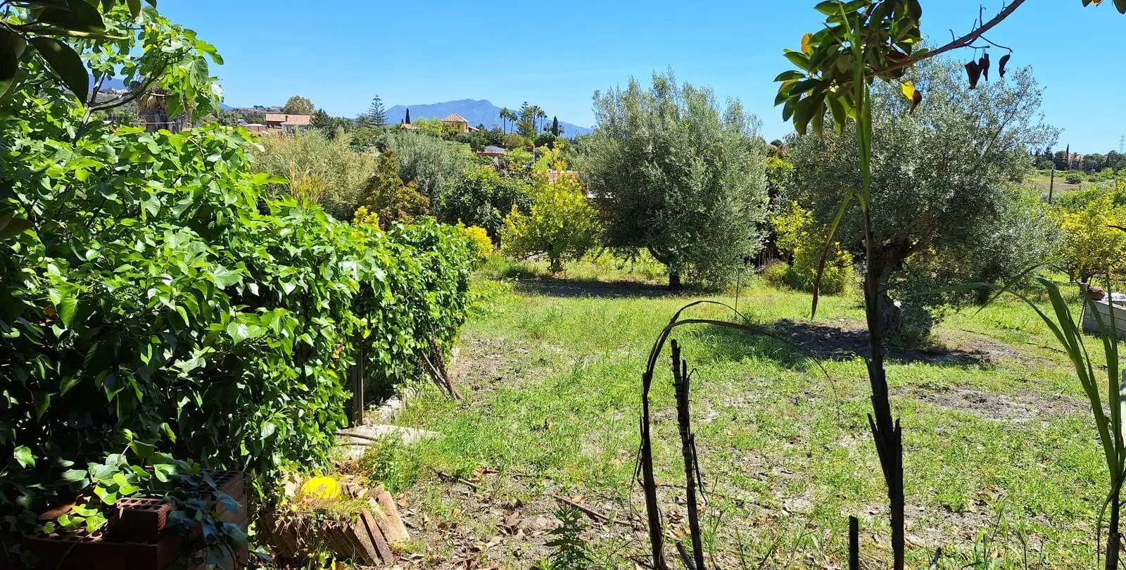 Venta de finca - cortijo en Estepona 8