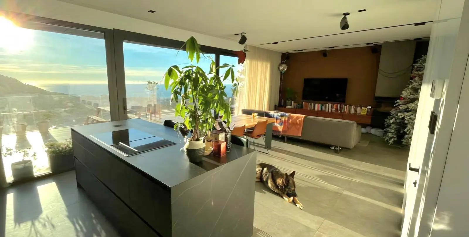 Sale of detached villa in Mijas 2