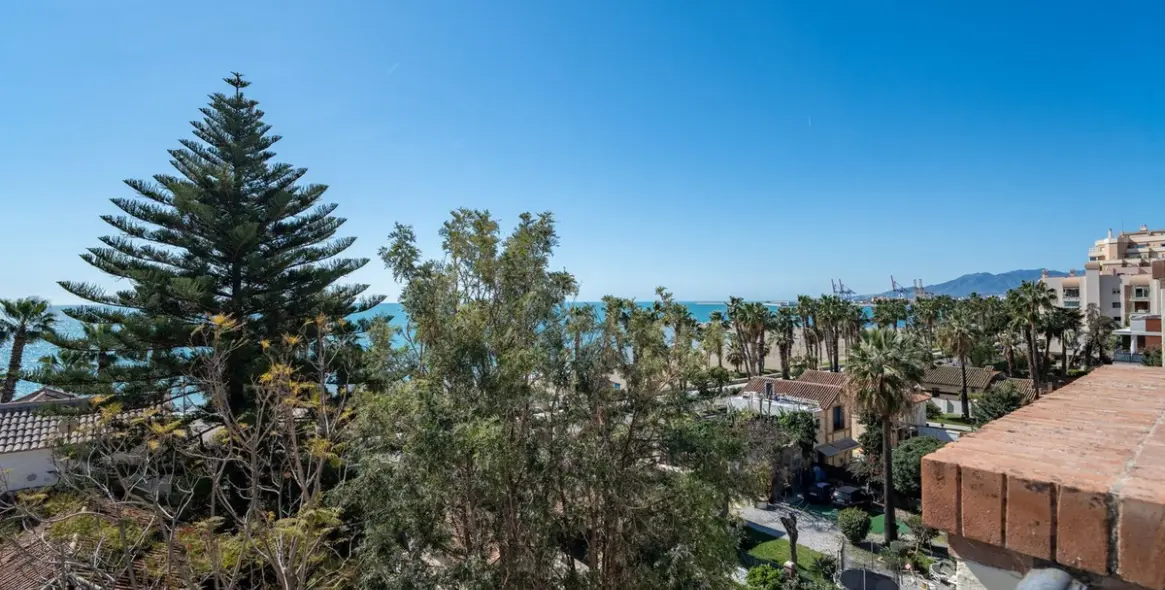 Sale of penthouse duplex in Monte Sancha 26