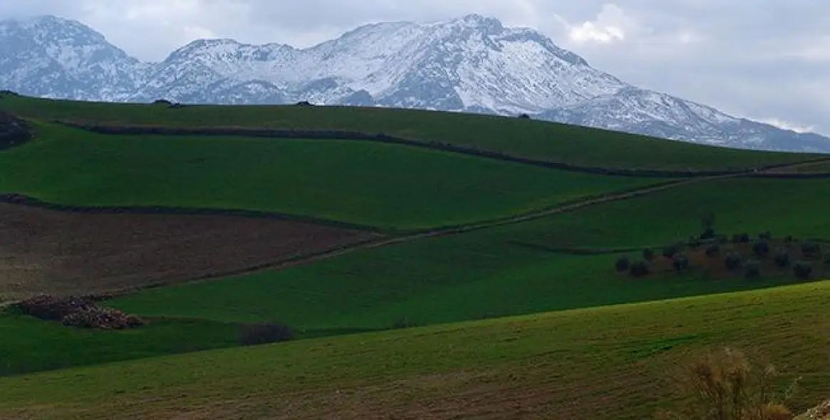 Sale of residential plot in Ardales 1