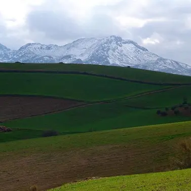 Sale of residential plot in Ardales