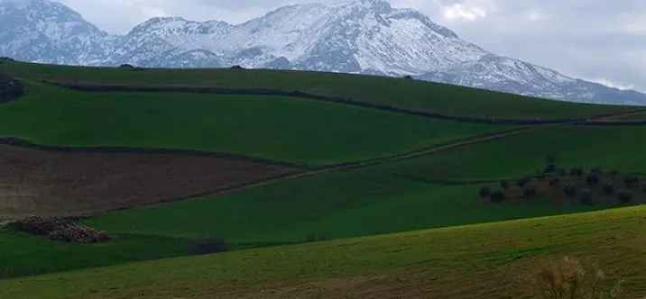 Sale of residential plot in Ardales 0